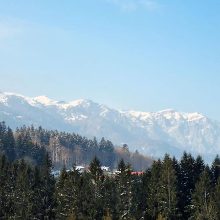 Vintage Home Sinaia Dış mekan fotoğraf