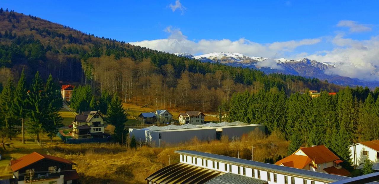 Vintage Home Sinaia Dış mekan fotoğraf