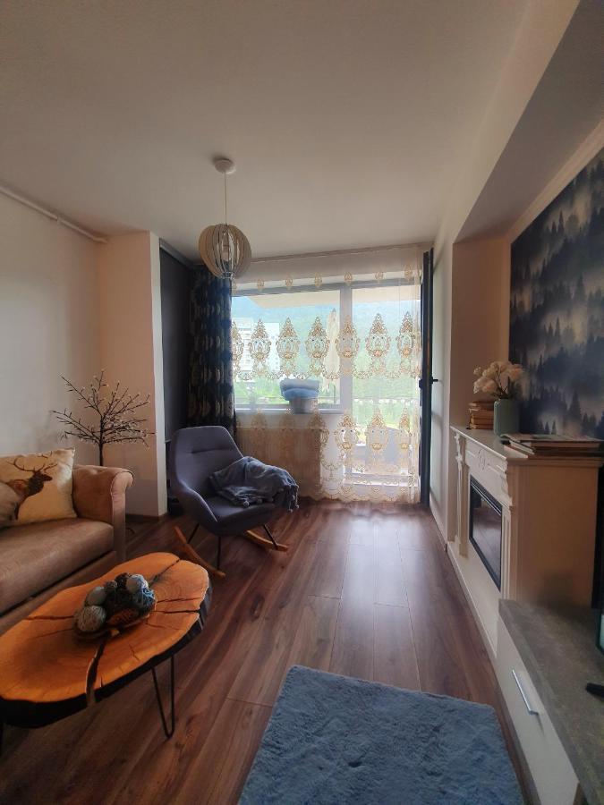 Vintage Home Sinaia Dış mekan fotoğraf
