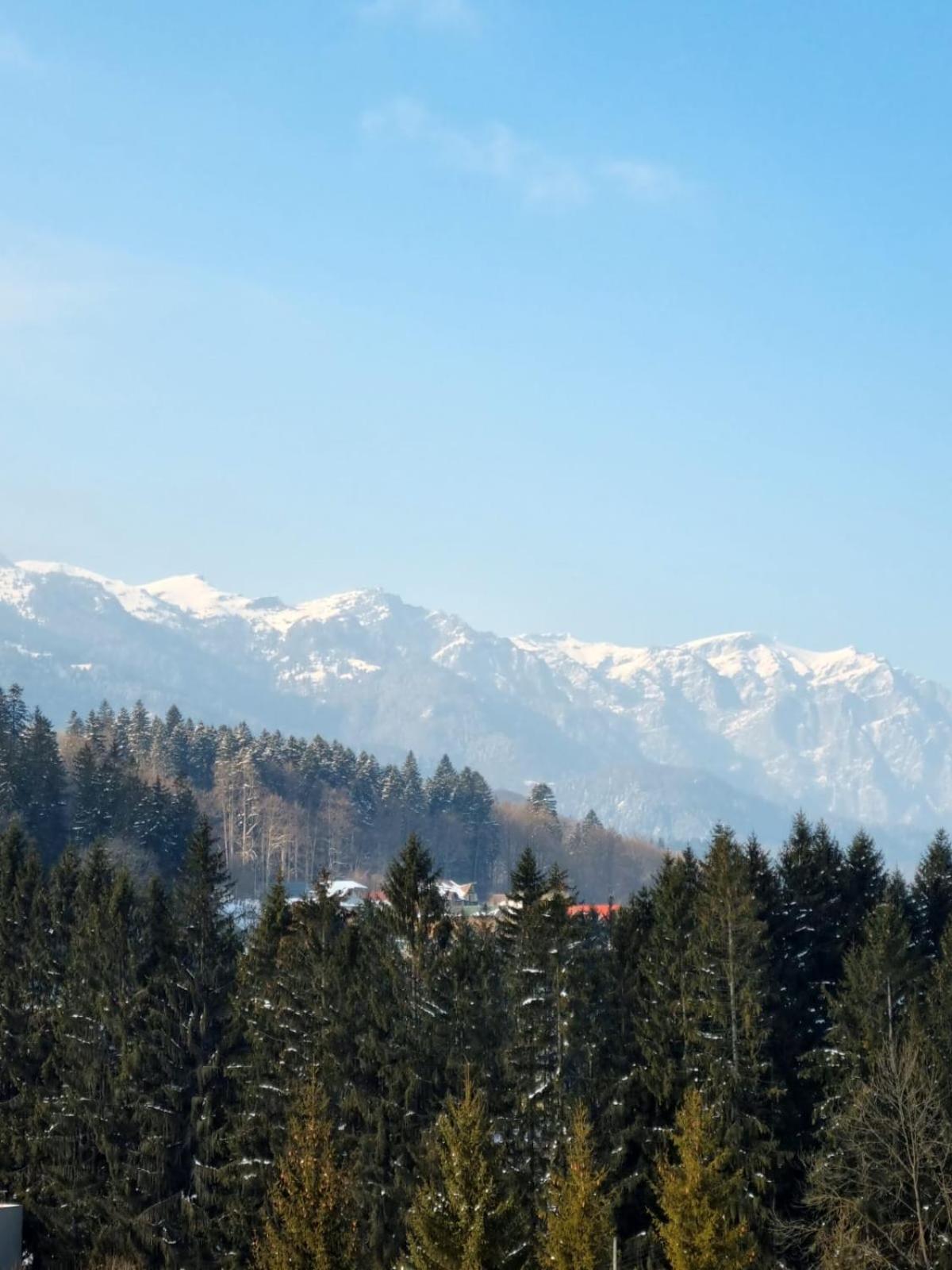 Vintage Home Sinaia Dış mekan fotoğraf